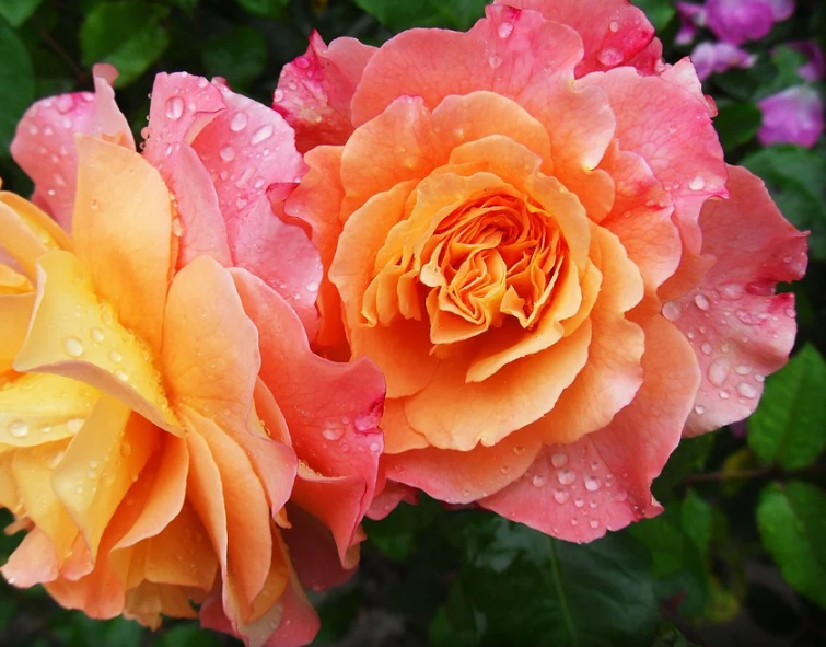 1600790062714370.png image.png