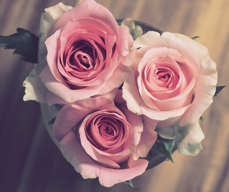 1600792417111194.png image.png