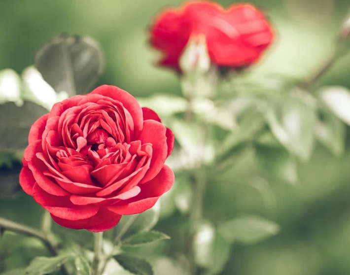 1600793418104950.png image.png