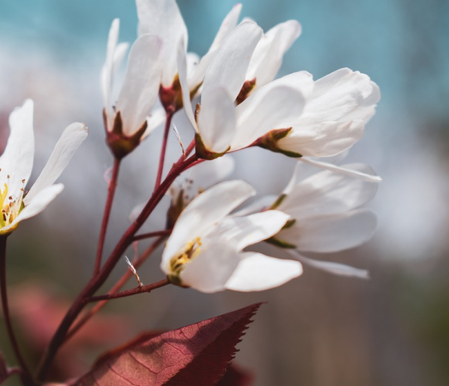 1600793961819755.png image.png