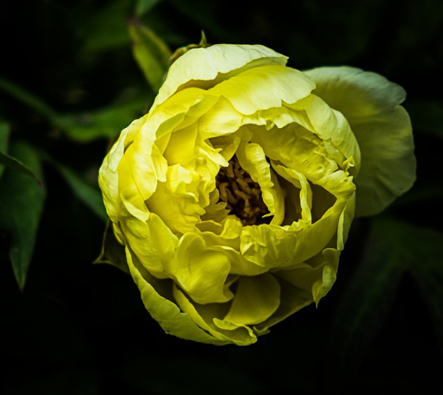 1600954826105311.png image.png