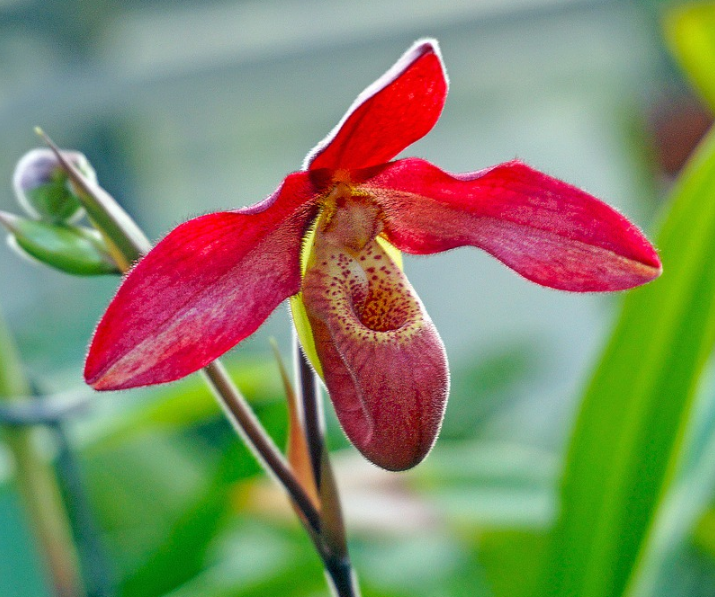 1600955133897987.png image.png