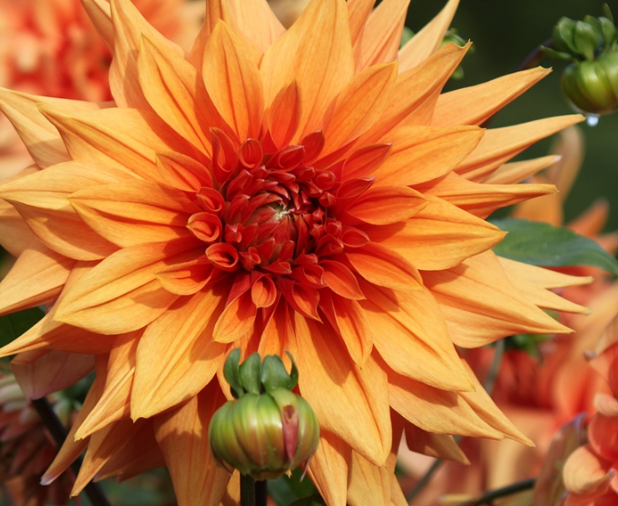 1600955258792731.png image.png