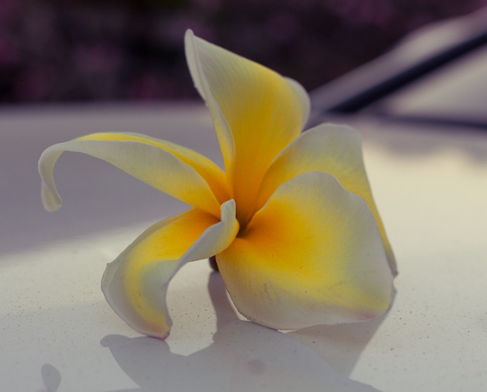 1600955444121233.png image.png