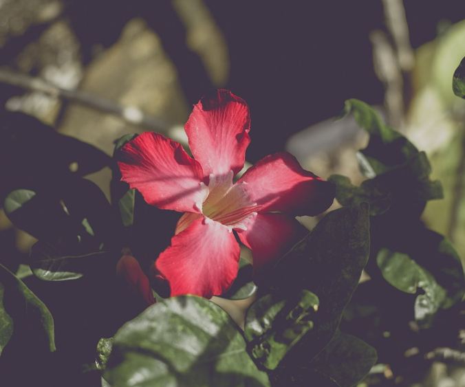 1600955459258534.png image.png