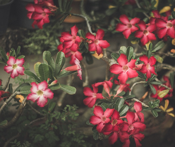 1600955632866918.png image.png