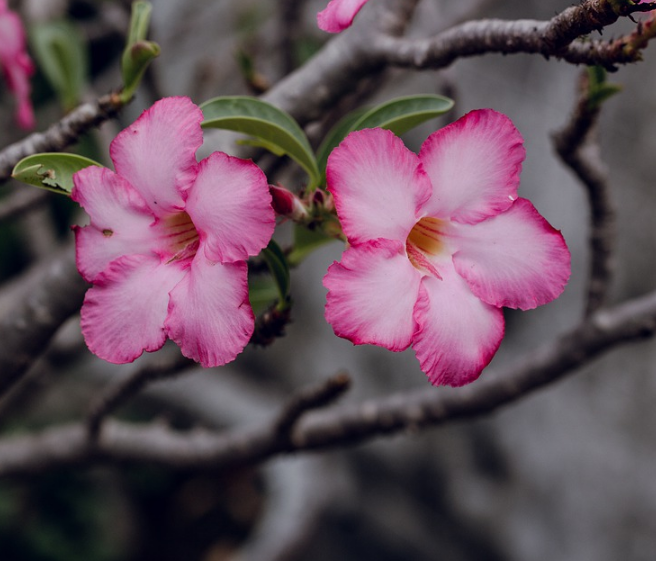 1600955644574043.png image.png