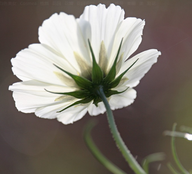 1600956458608899.png image.png