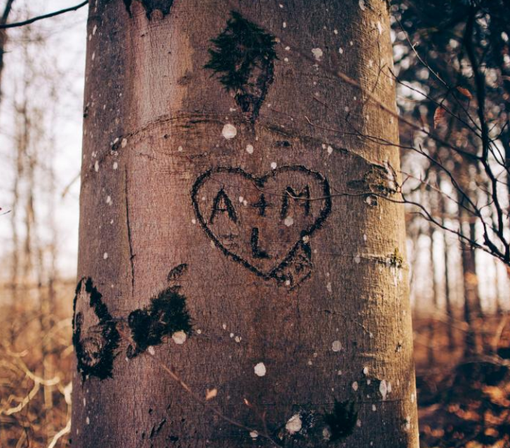 1600957351330914.png image.png