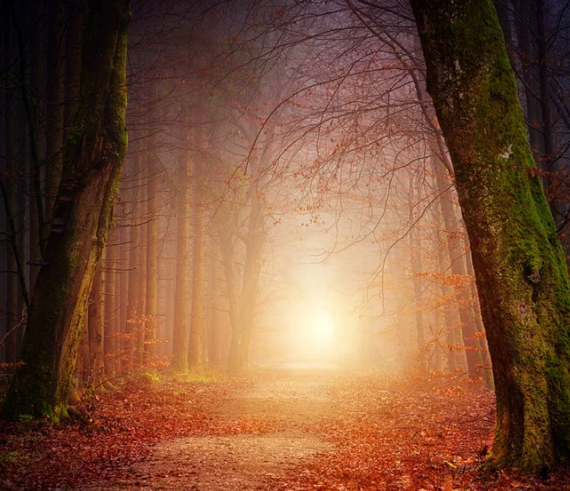 1601304291120032.png image.png