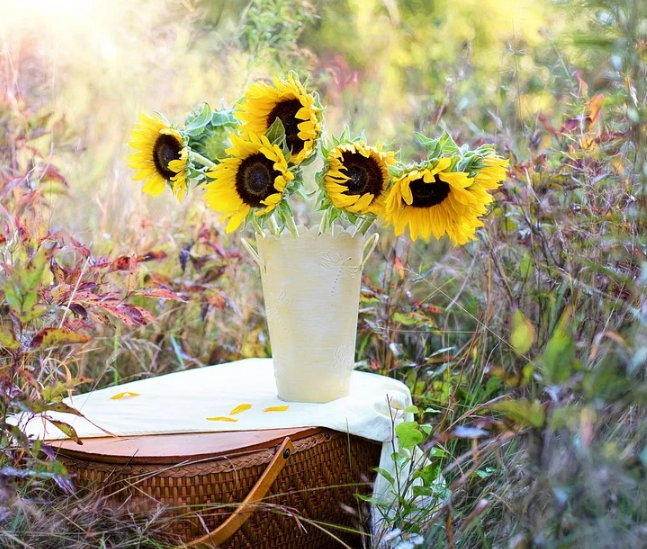 1601304307906851.png image.png