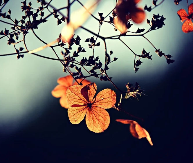 1601304329793506.png image.png