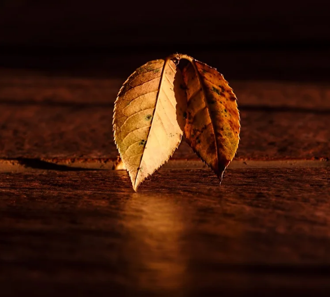 1601304494590482.png image.png