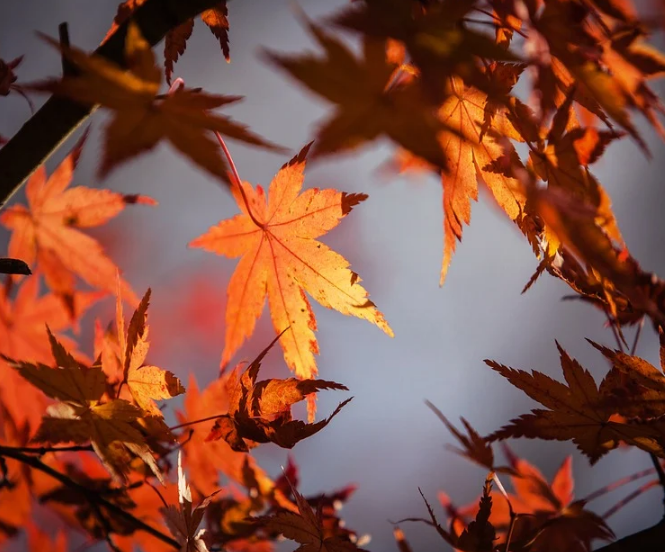 1601304528130885.png image.png