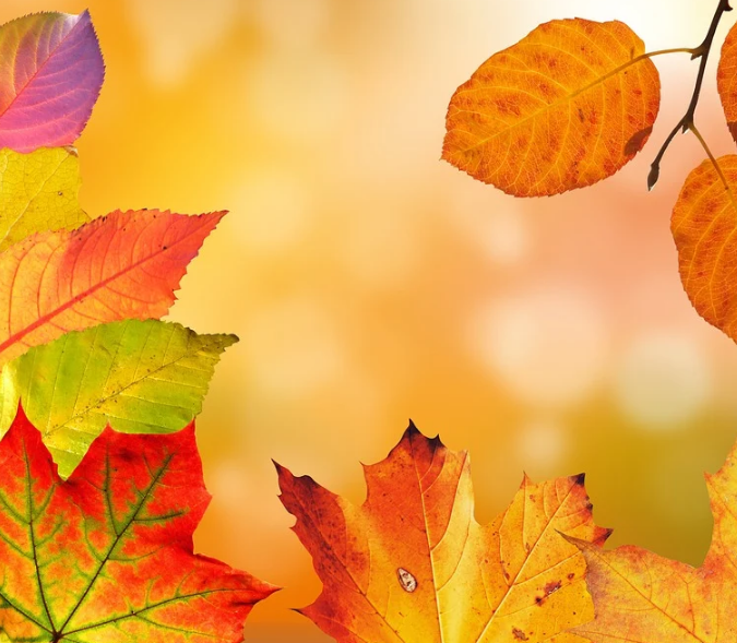 1601304653590611.png image.png