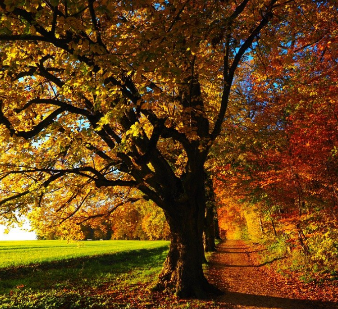 1601304879148976.png image.png