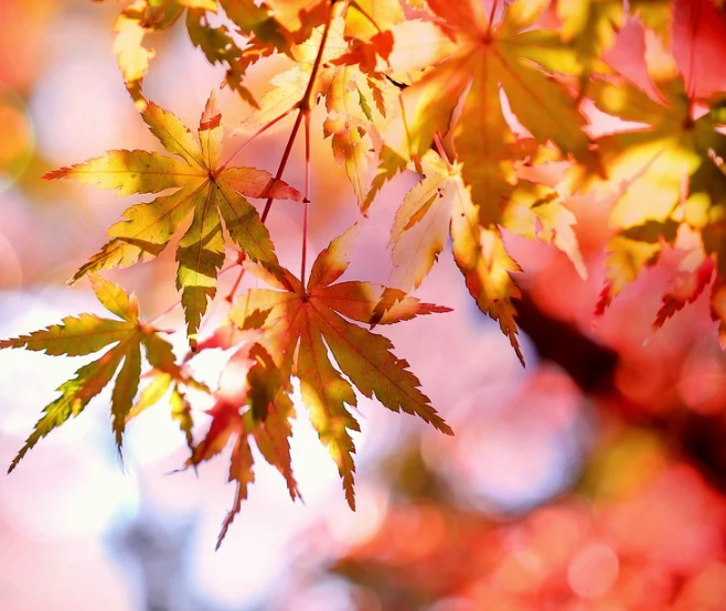 1601304894131031.png image.png