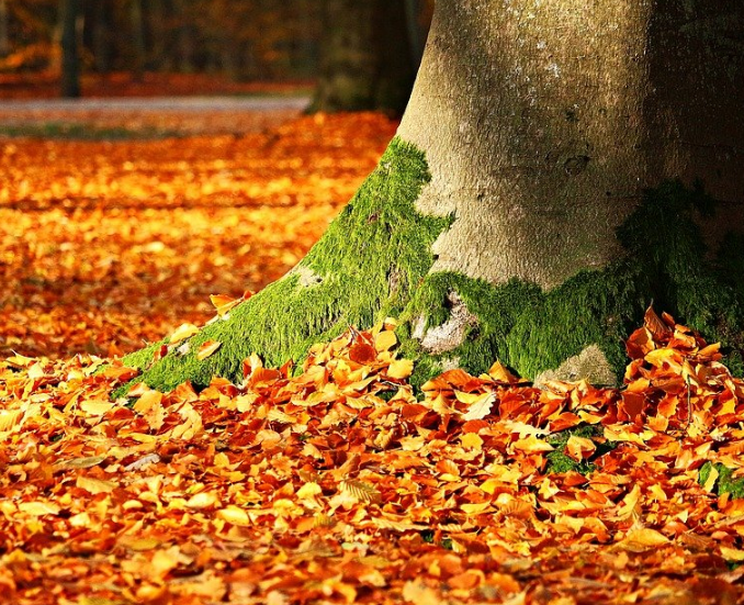 1601304944888003.png image.png