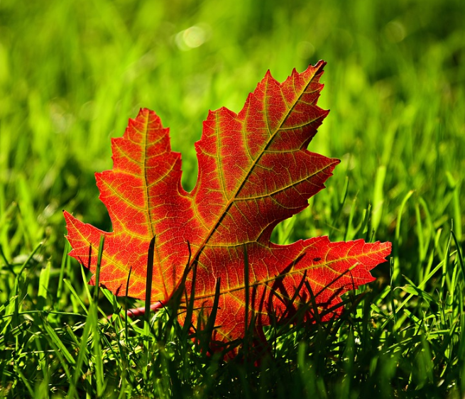 1601305610138730.png image.png