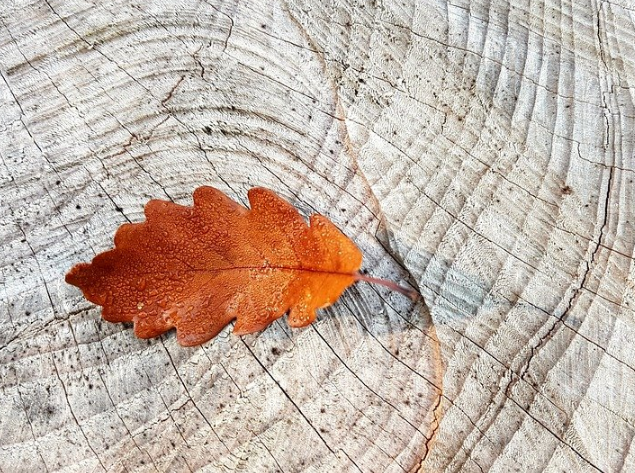 1601305627235771.png image.png