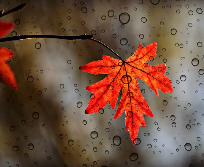 1601305710933703.png image.png