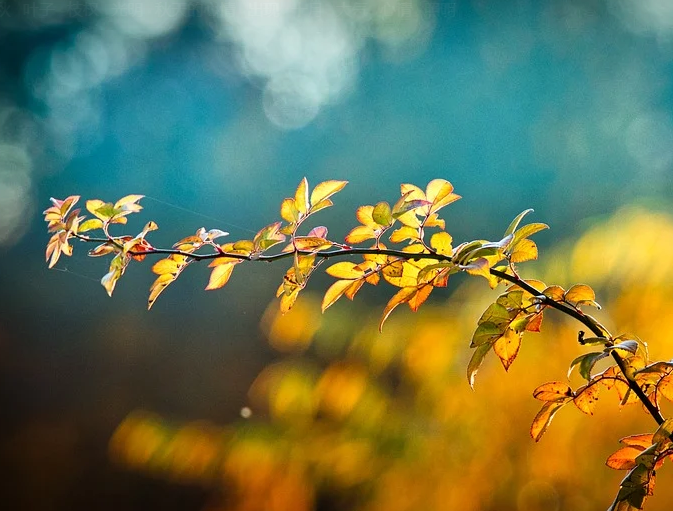 1601305764116917.png image.png