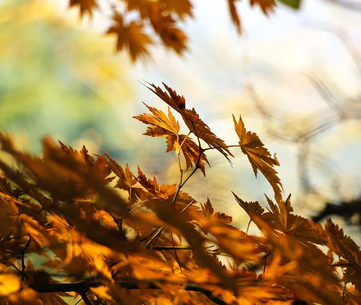 1601305783117635.png image.png