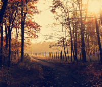 开心微信名字大全 开心幸福的微信网名