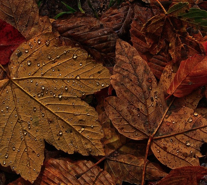 1601305899441506.png image.png