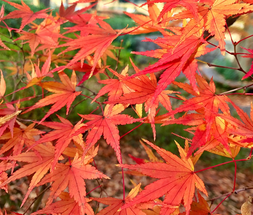 1601308665460353.png image.png