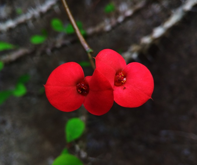 1601308682309828.png image.png