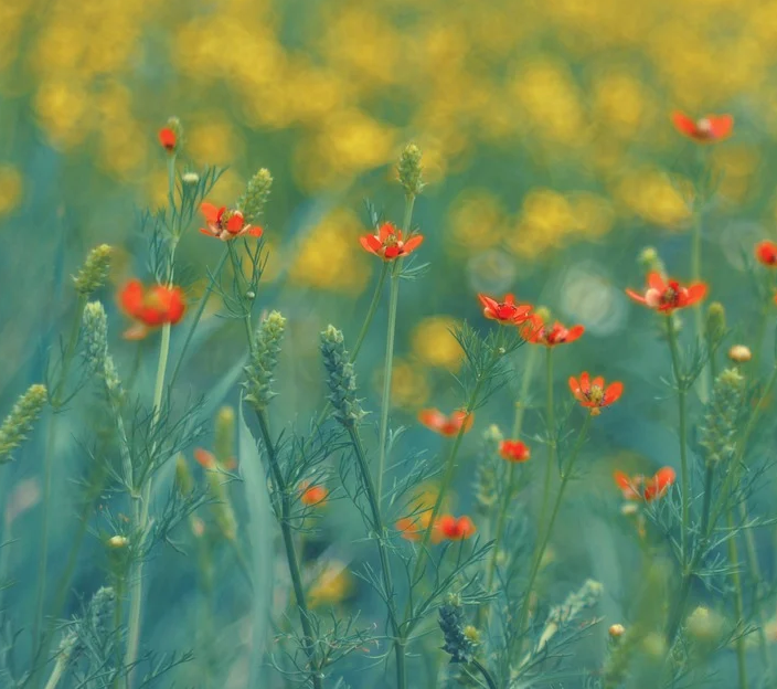 1601390925675599.png image.png