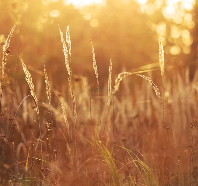 1601391460300017.png image.png