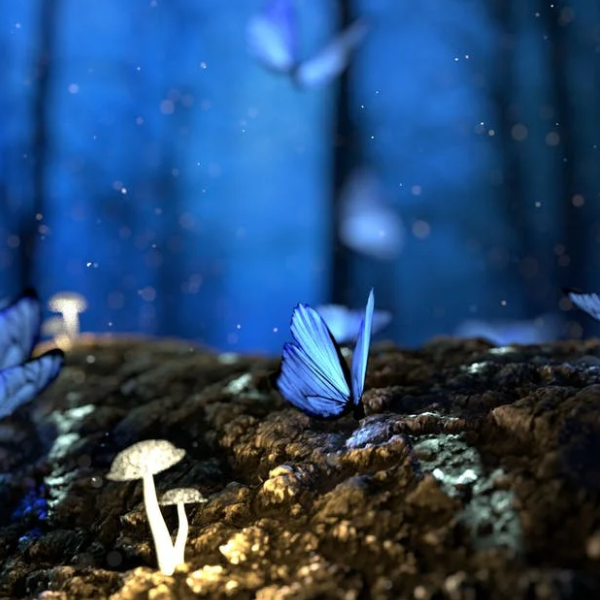 1601392874635149.png image.png