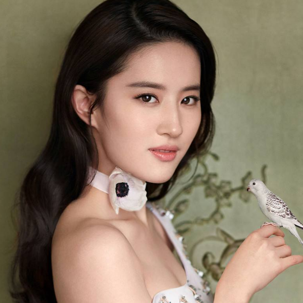 1602416211130248.png image.png