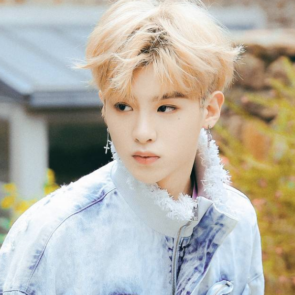 1602428020109008.png image.png