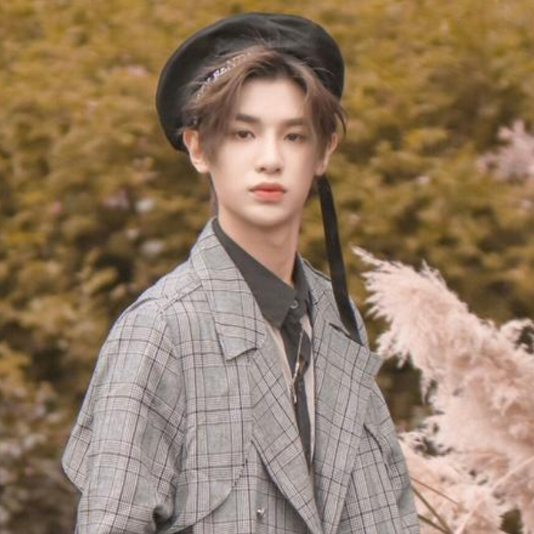 1602428033122890.png image.png