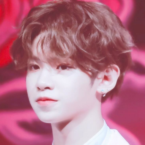 1602428130377259.png image.png