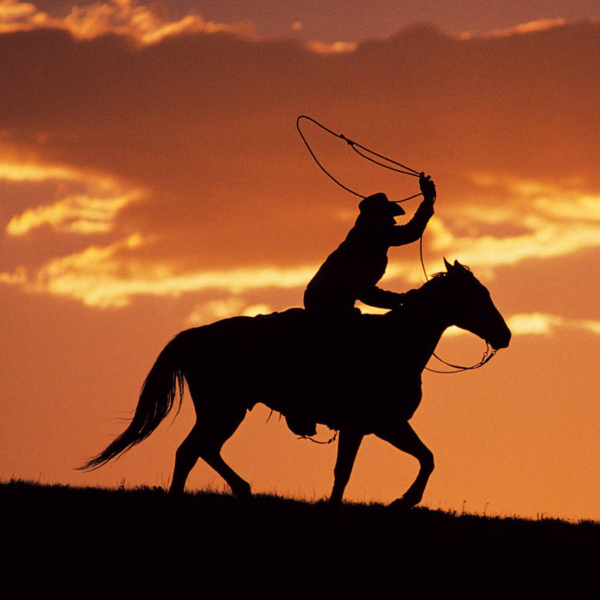 1602505158638204.png image.png