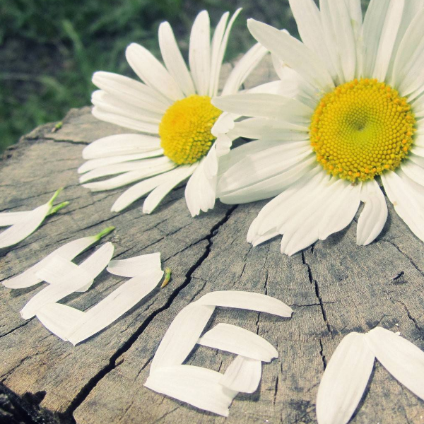 1602506382700557.png image.png