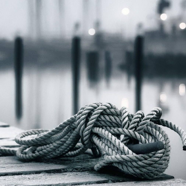 1602511516349375.png image.png