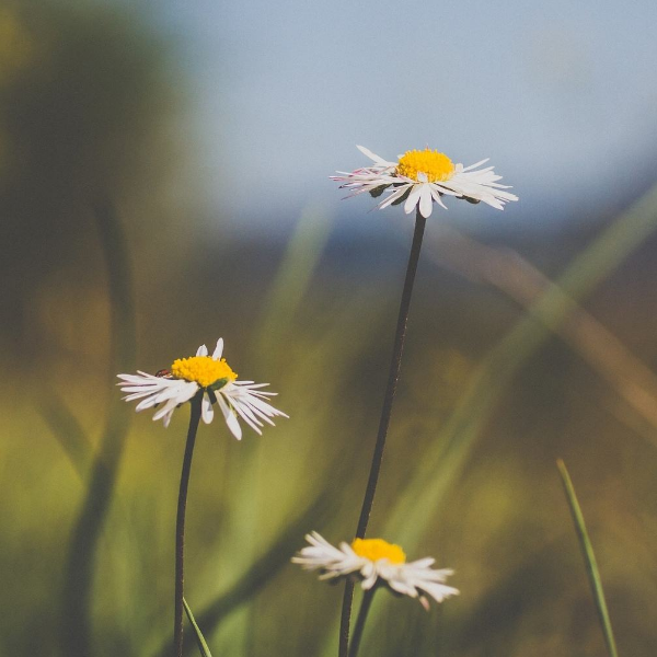 1602511939126590.png image.png