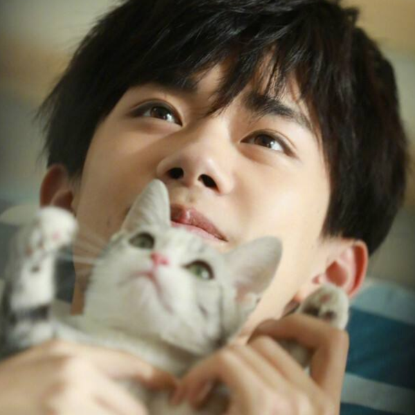 1602517445107278.png image.png