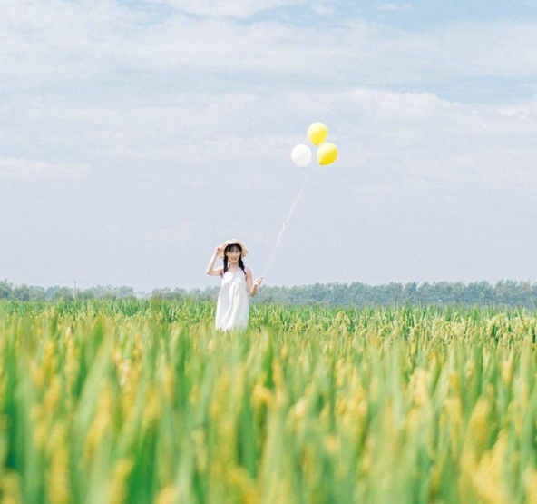 1603028907859645.png image.png