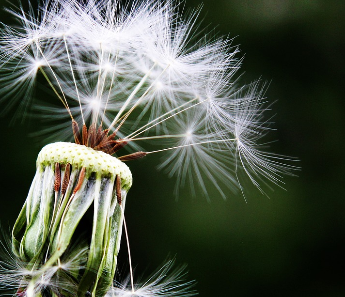 1606658356996443.png image.png