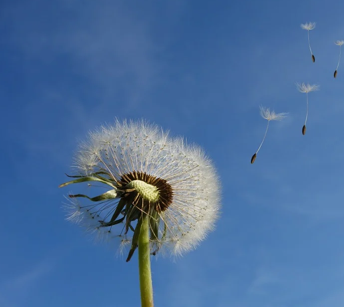 1606658383125162.png image.png