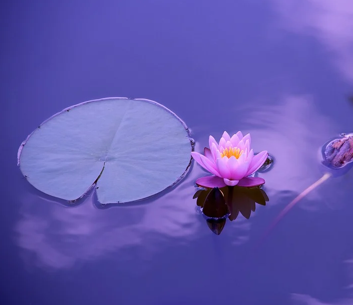 1606661766597108.png image.png