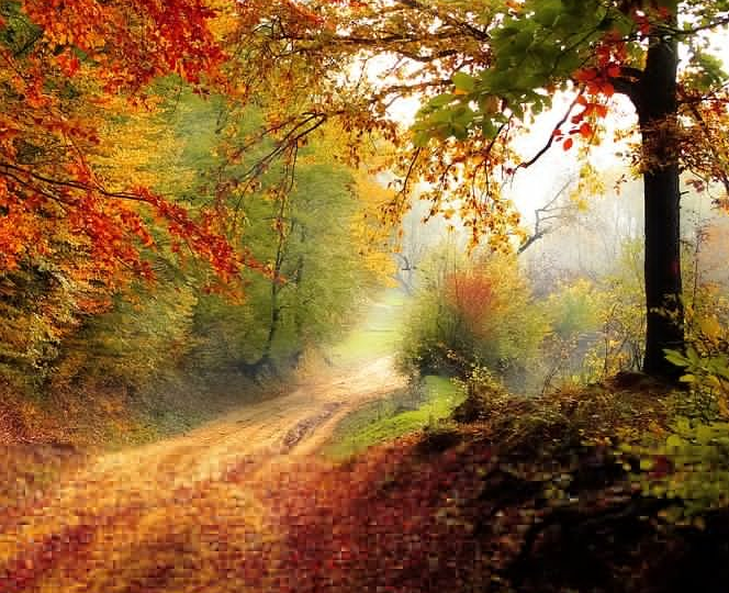 1606661799915027.png image.png