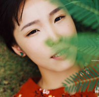 励志努力句子唯美简短