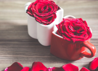 ​送给家人的圣诞节抖音祝福语大全（抖音圣诞节的祝福文案怎么写）